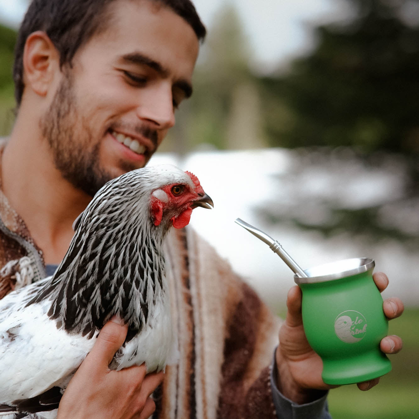 Galaxy Organic Yerba Mate Tea
