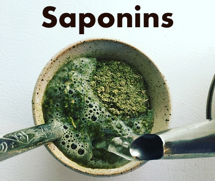 Saponins in Yerba Mate Tea