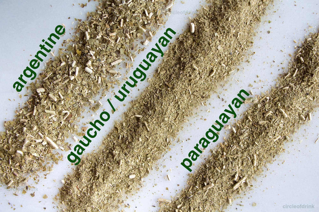 Types of Yerba Mate Tea - Circle of Drink