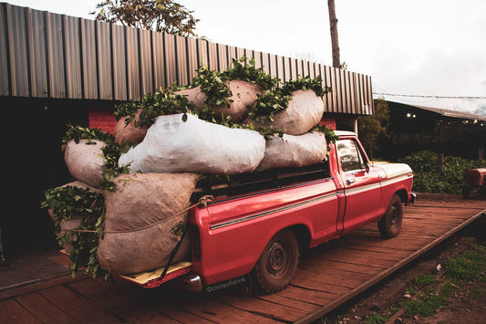 Truck transporting Yerba Mate - ©Circleofdrink