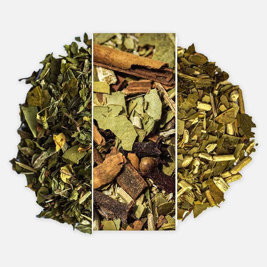 Mystique Yerba Mate Tea Sampler - 3 x 1.76oz bags