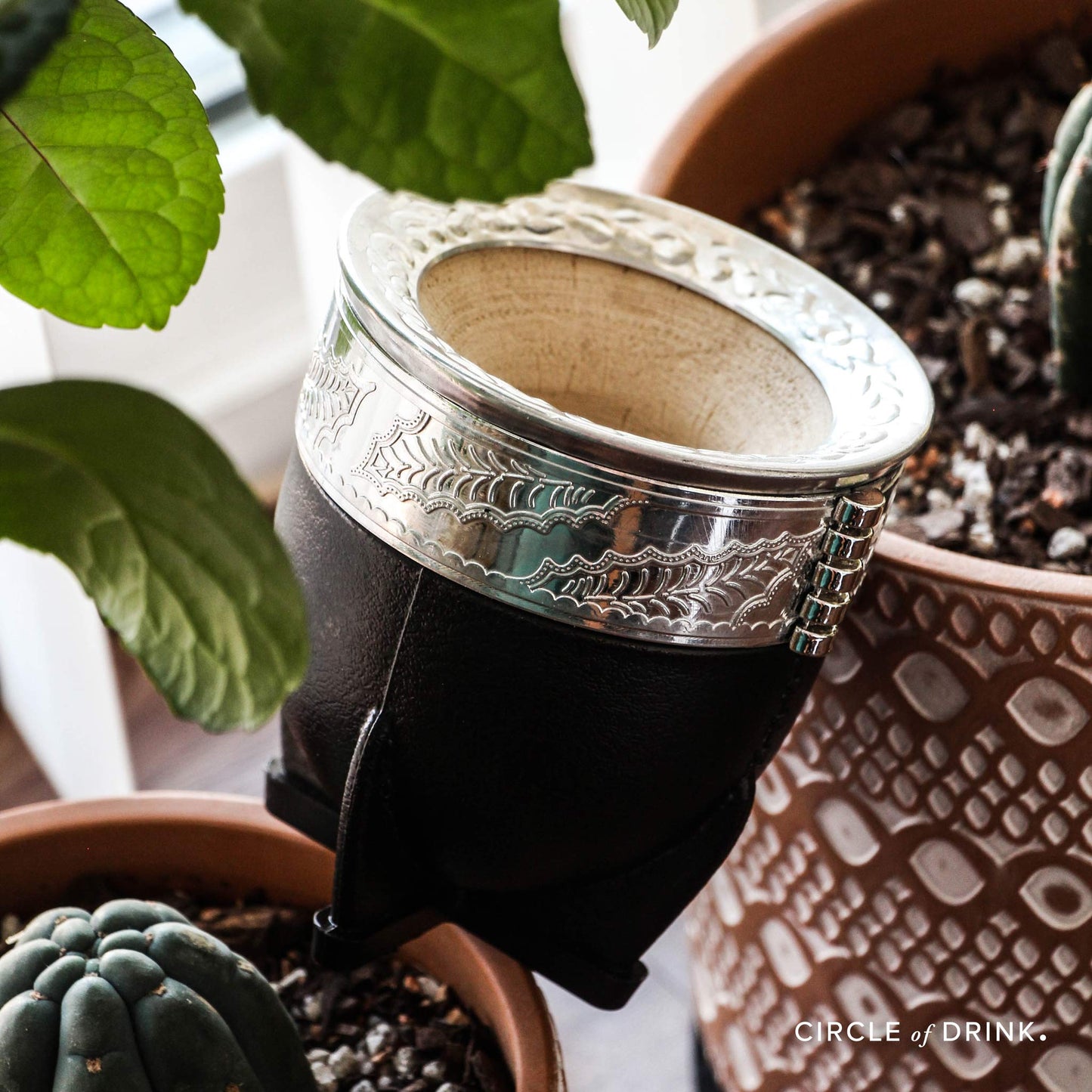 Holly Cup Brazilian Calabash Yerba Mate Cup