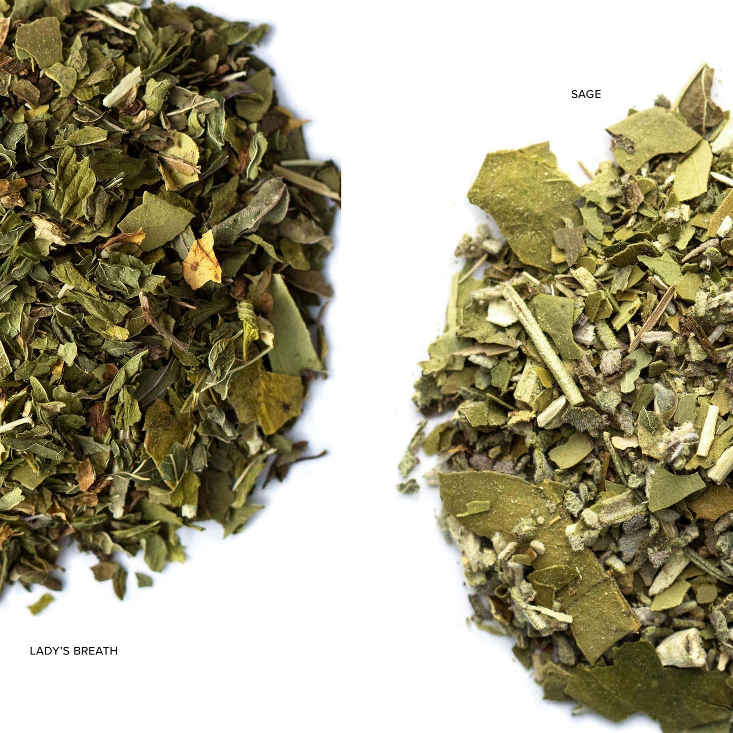 Six Rivers Yerba Mate Sampler