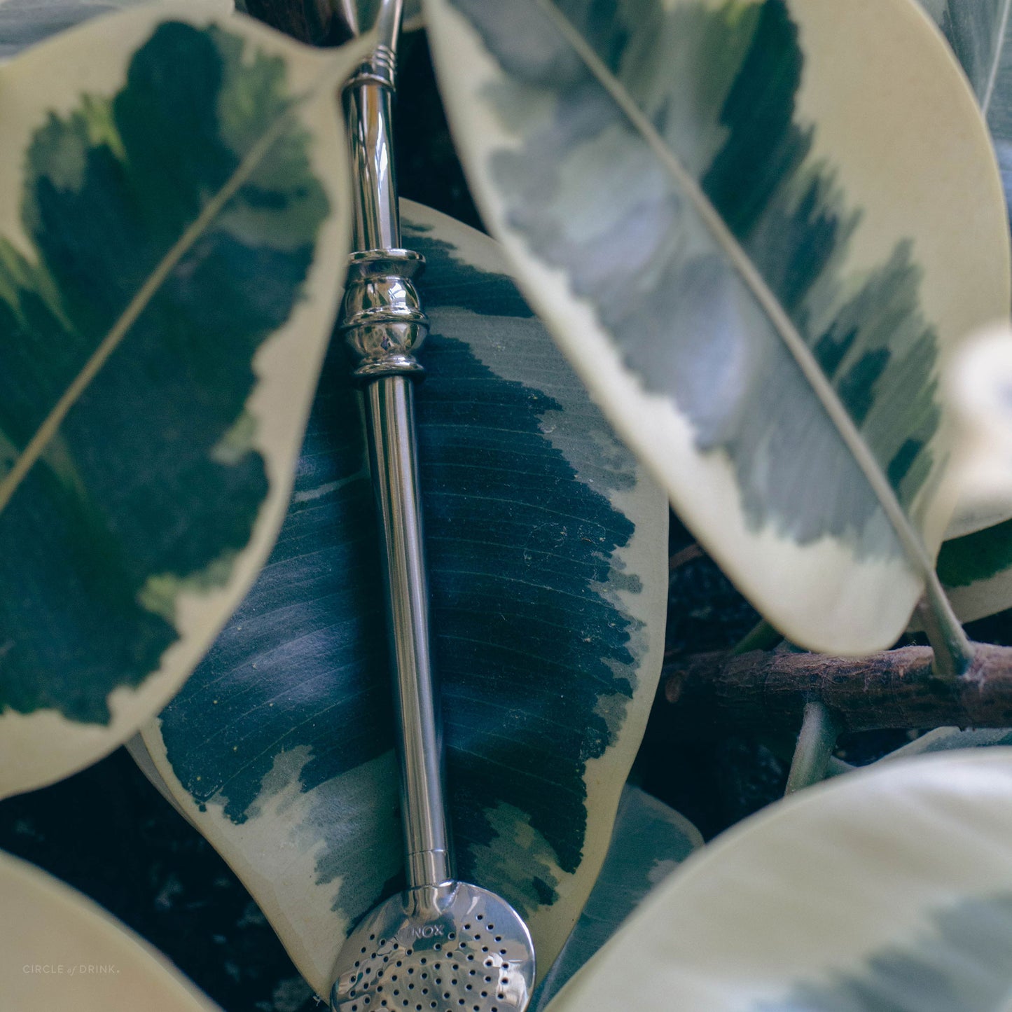 Mindo Yerba Mate Bombilla