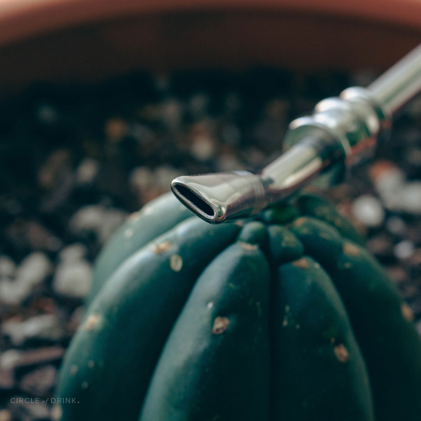 Mindo Yerba Mate Bombilla