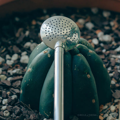 Mindo Yerba Mate Bombilla