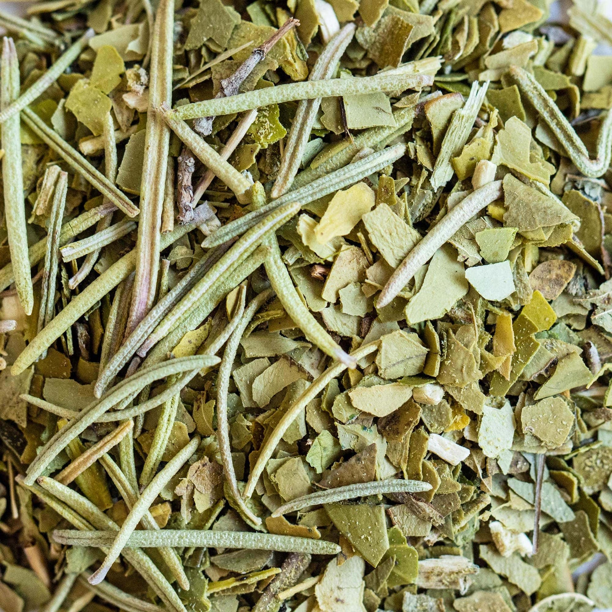 Rosemary Organic Yerba Mate Blend