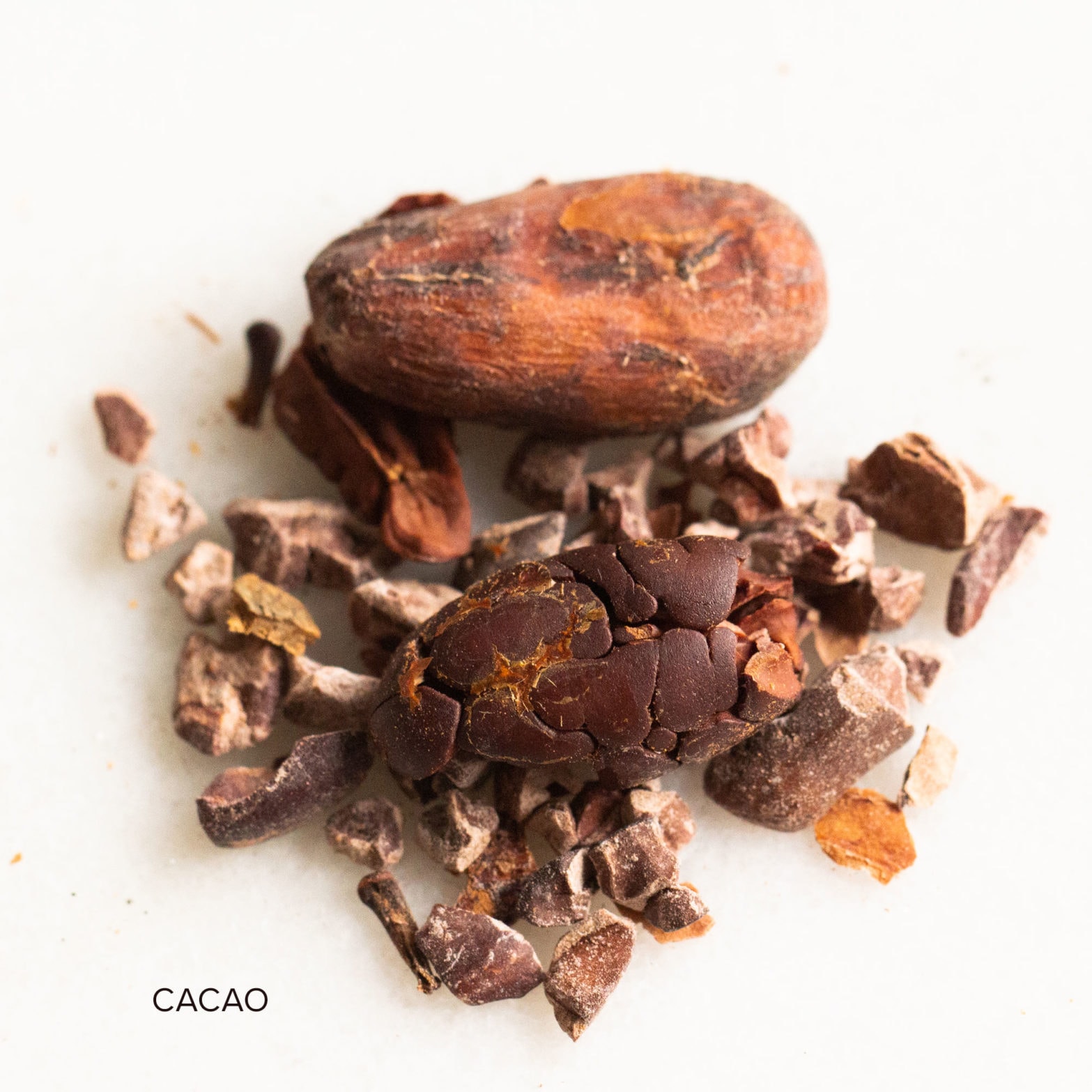 Chaga Mushroom Roasted Cacao Tea - 22 Servings - 4oz