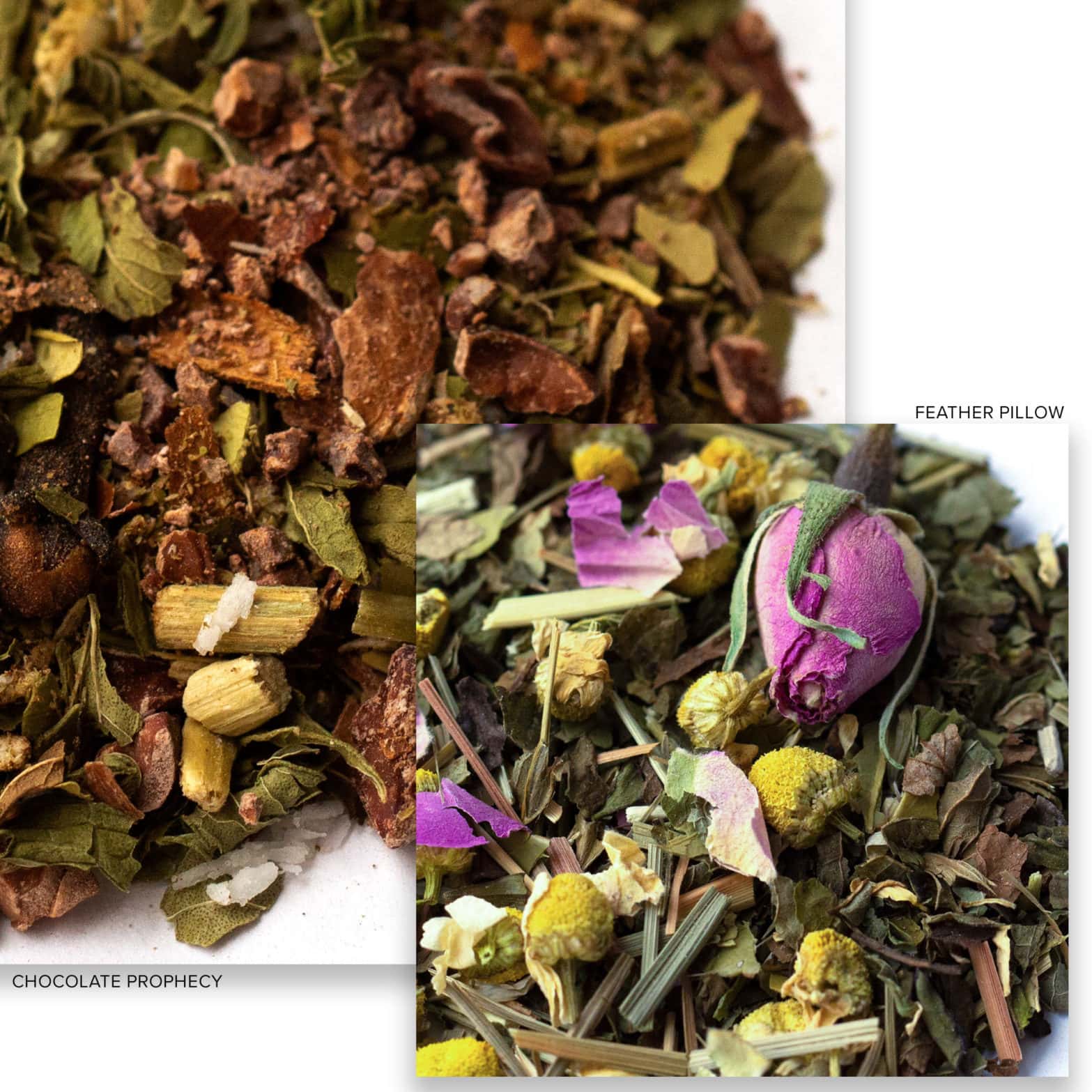 CHOCOLATE PROPHECY AND FEATHER PILLOW YERBA MATE TEA