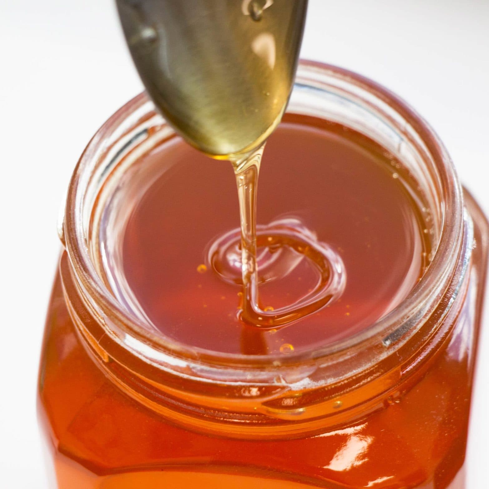 Gallberry Honey 16oz Glass Jar