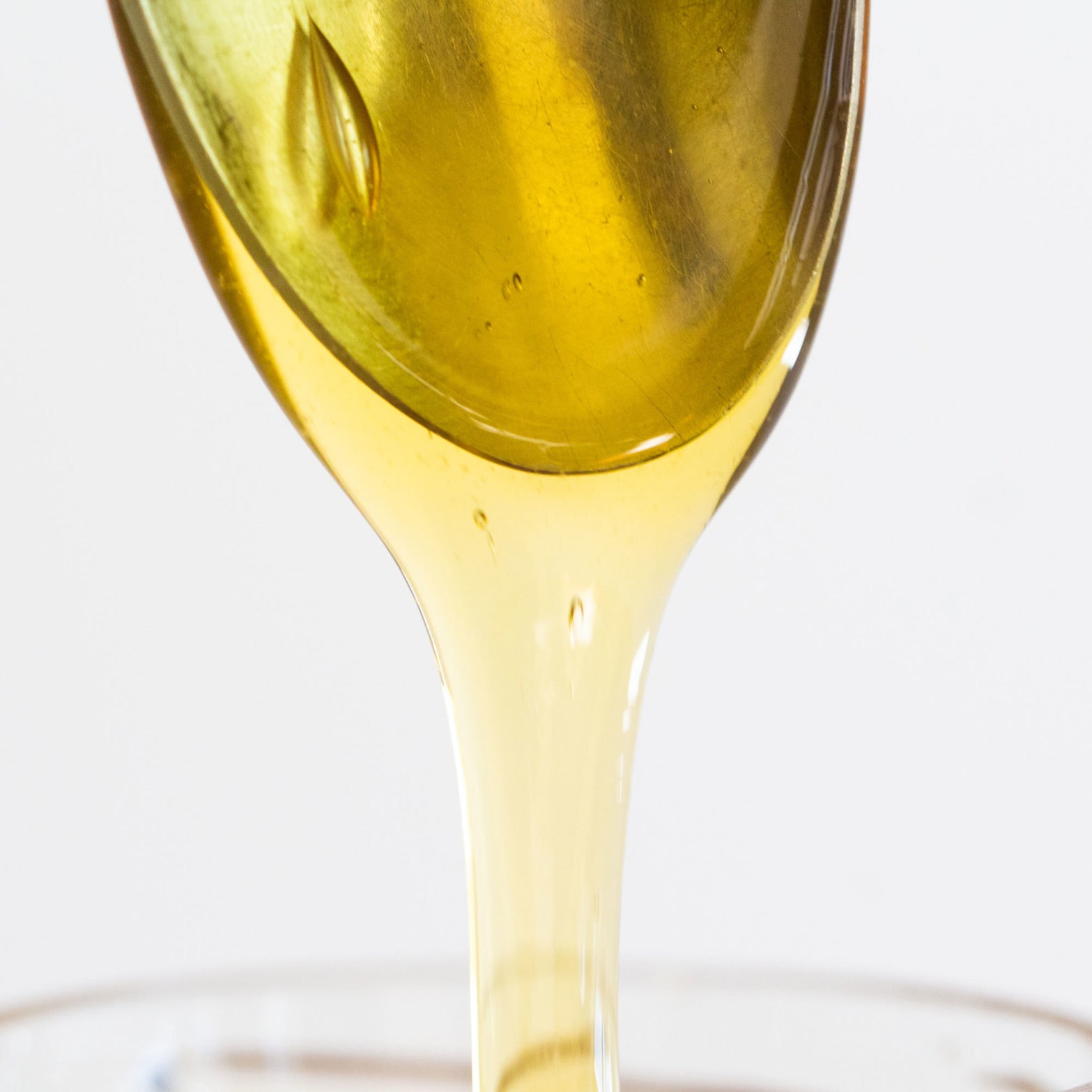Wildflower US Grade A Honey from Maine – 16oz glass jar