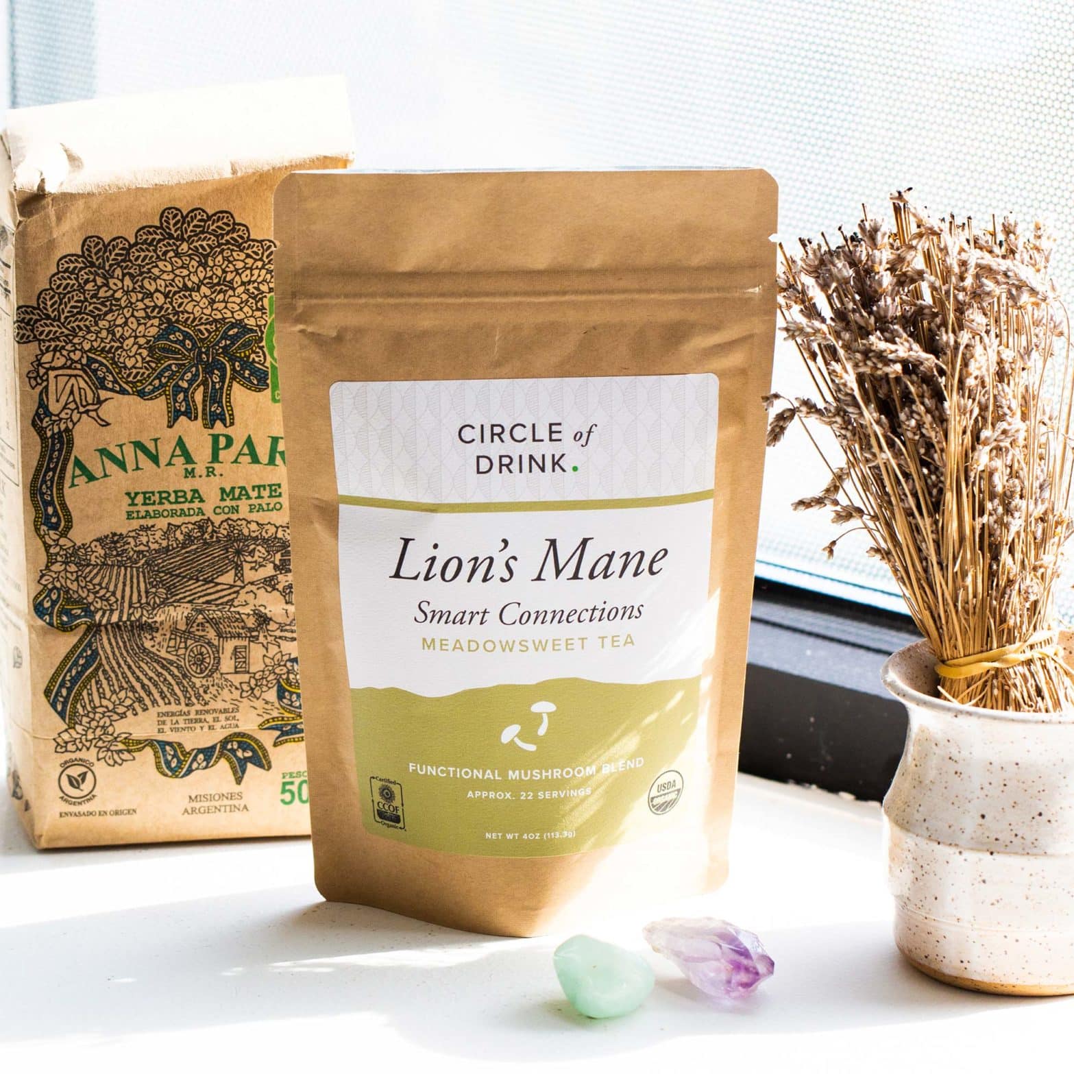 Anna Park Yerba Mate with Lion's Mane Smart Connections Tea - 2 packs