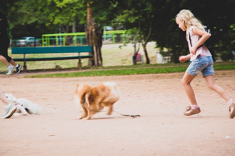 Girl chasing dog at Mohinos de Vento Park