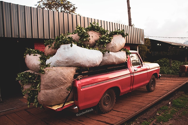 Truck carrying yerba mate in Misiones, Argentina. ©circleofdrink