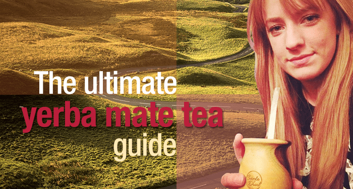 Yerba Mate Tea Guide