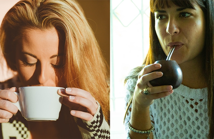 Green Tea vs Yerba Mate by Circle of Drink