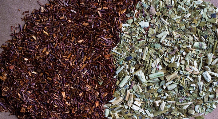Yerba Mate Tea vs Rooibos Tea